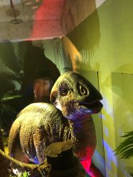 -恐龙探索乐园(磁器口店)