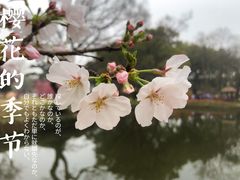 -无锡梅园公园