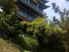 android_upload_pic-江西科技学院