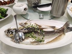 油盐蒸山坑鲩鱼-渔意楼·驰名沙田乳鸽(五羊店)