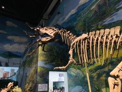-自贡恐龙博物馆