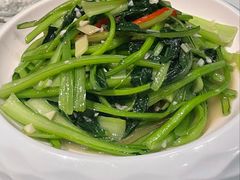 素炒油白菜-海尔巴格一甸茶餐厅(团结路店)