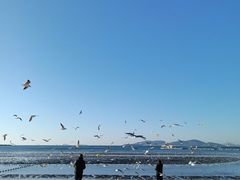 -青岛第三海水浴场