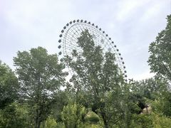 -特克斯八卦城