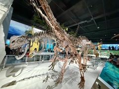 -国家自然博物馆