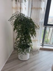 -HEYAN荷妍专业脱毛连锁机构