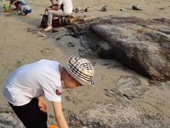 -碧桂园十里银滩