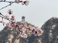 -北京凤凰岭