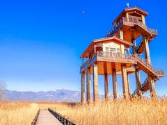 -野鸭湖国家湿地公园