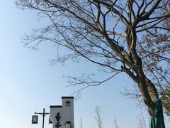 -香雪海