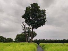 -汉长安城未央宫国家考古遗址公园