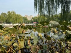 -丰台花园