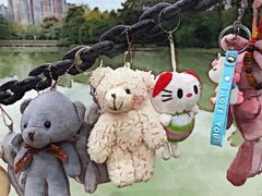 -成都中医药大学(温江校区)