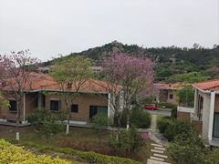 -厦门国家会计学院
