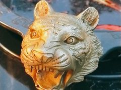 -袁老四老火锅(大丰店)