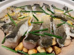 水煮深海大黄鱼-晟永興烤鸭店(五道口店)