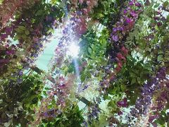 -郑州梵高星空错觉艺术馆(大上海城旗舰店)