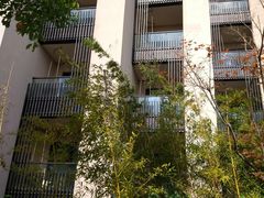 -上海崇明金茂凯悦酒店