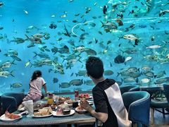 -瑞德姆美人鱼海底演艺主题餐厅(亚龙湾店)