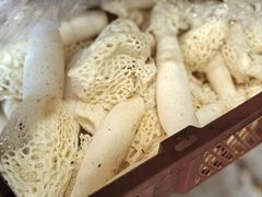 -杨记山珍鸡煲菌汤锅