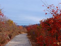 -周口店坡峰岭风景区