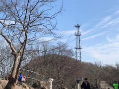 -紫金山天文台