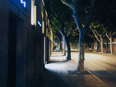 -嘉善老市