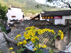 -塔川景区