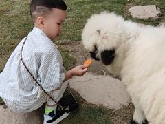 -HERRE·FARM 赫尔露营农场·团建聚会包场