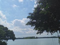 -海珠湖公园