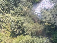 -苍山感通索道