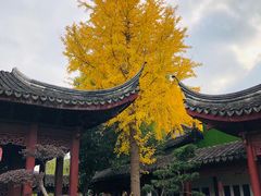 -檀园