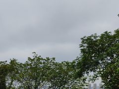 -艾溪湖湿地公园