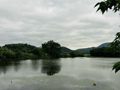 -鸣鹤古镇