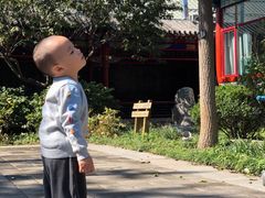 -有喜胶东小馆(太申祥和店)