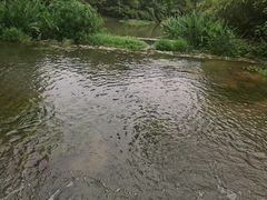 -桤木河湿地公园