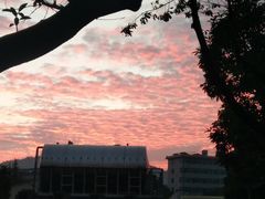 -西南林业大学(白龙校区)