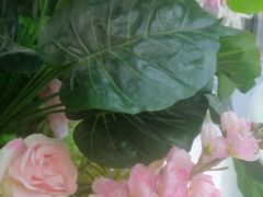 -紫鑫阁饭庄(长安店)