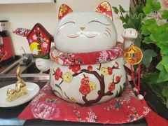 -酷豆宠物咖啡·宠物美食·撸猫馆