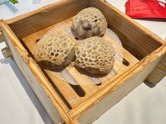 -侨美·唐荔园·40年地道粤菜