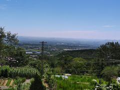 -凤凰小镇·徐州特色菜(凤凰岭店)
