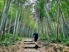 -午潮山国家森林公园