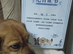 -达爱动物医院·犬猫分区·CT·复杂眼科(远洋山水分院)