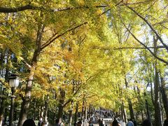 -八大关景区