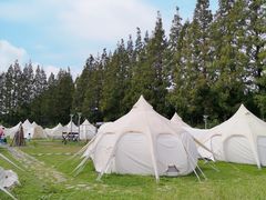 -前小桔亲子创意农场·草莓采摘·露营烧烤