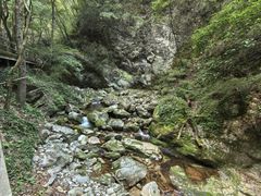 -牛背梁国家森林公园