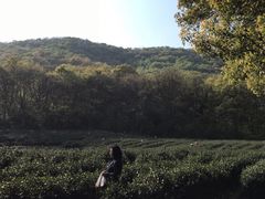 -南山风景名胜区