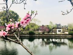 -无锡蠡湖国家湿地公园-蠡园