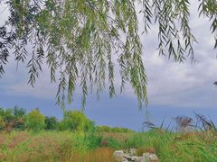 -绿堤公园