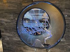 -红辣椒·川菜·火锅(张杨路店)